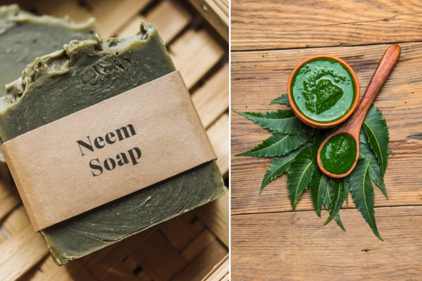 homemade neem soap
