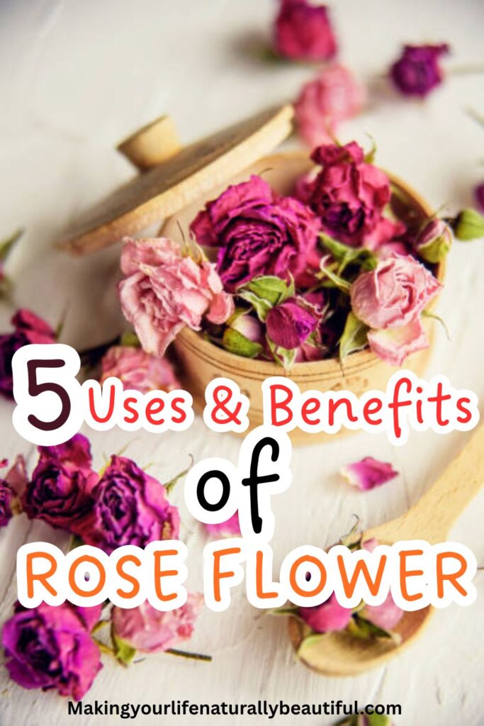 Uses and benefits of rose flowers.