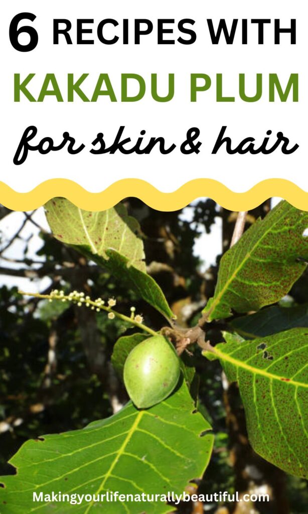 Benefits and uses of kakadu plum