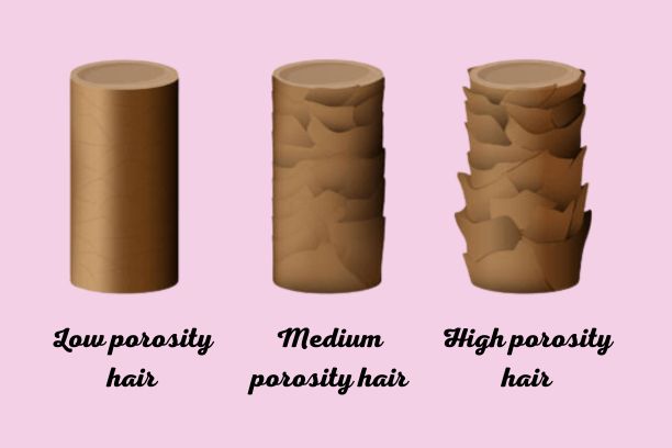 hair porosity