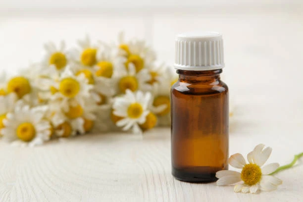 chamomile essential oil for hair