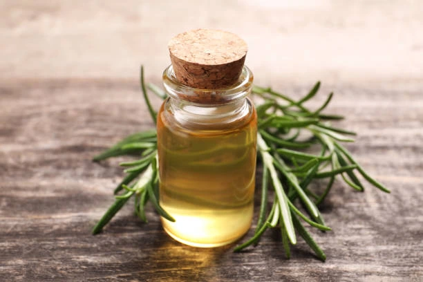 rosemary essential oil for hair