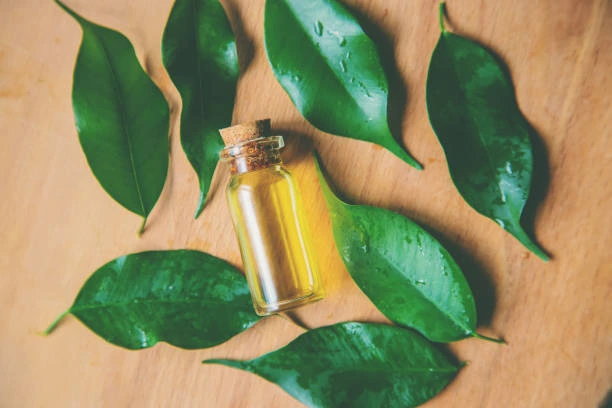 tea tree essential oil for hair