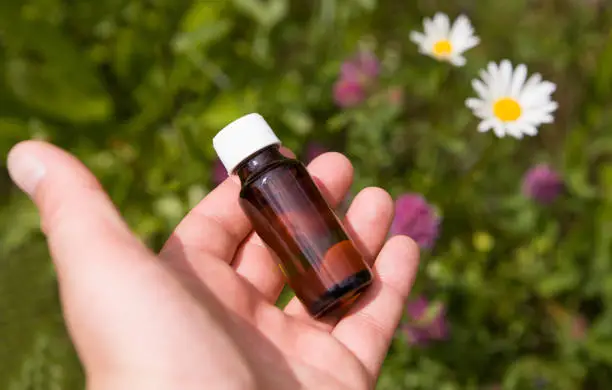 palm rose essential oil for skin