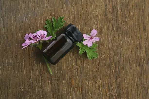 Rose geranium essential oil
