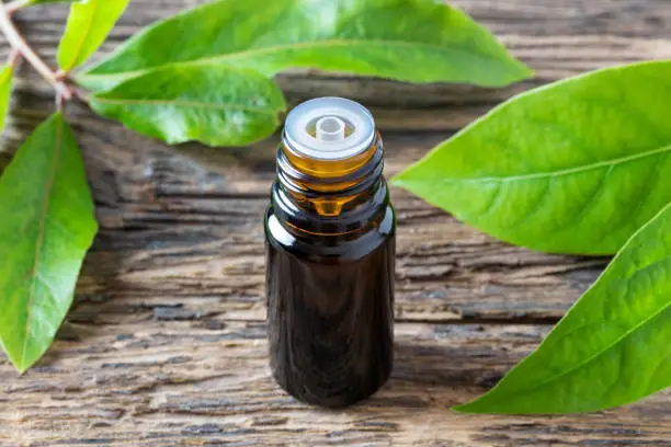 tea tree oil for skin
