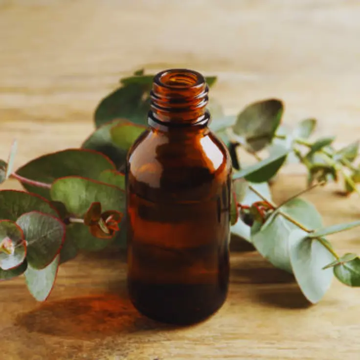 benefits of eucalyptus essential oil for skin