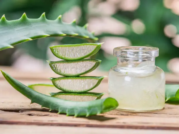 aloe vera gel for skin