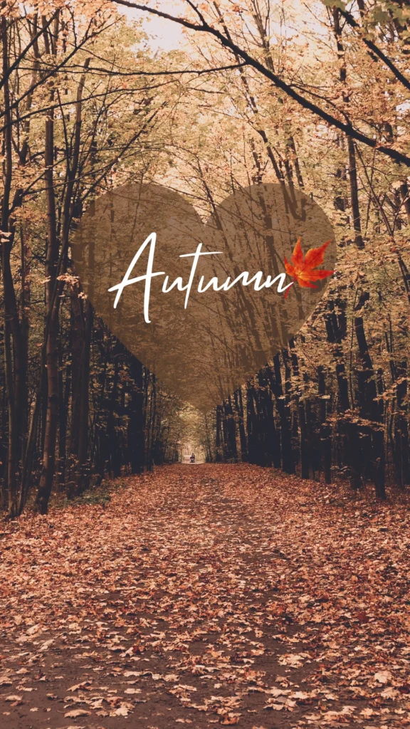Autumn phone wallpapers