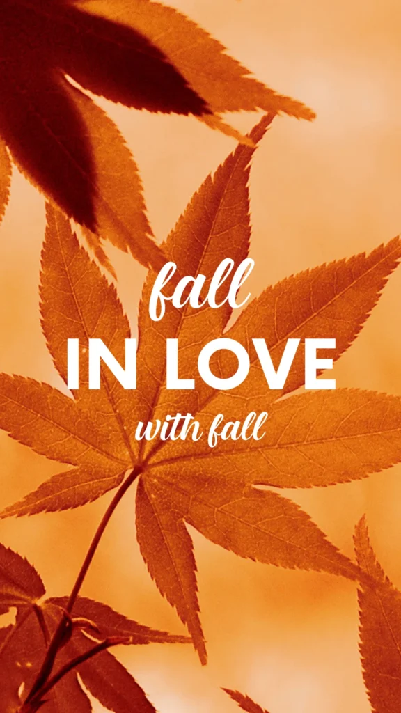 fall mobile wallpapers.