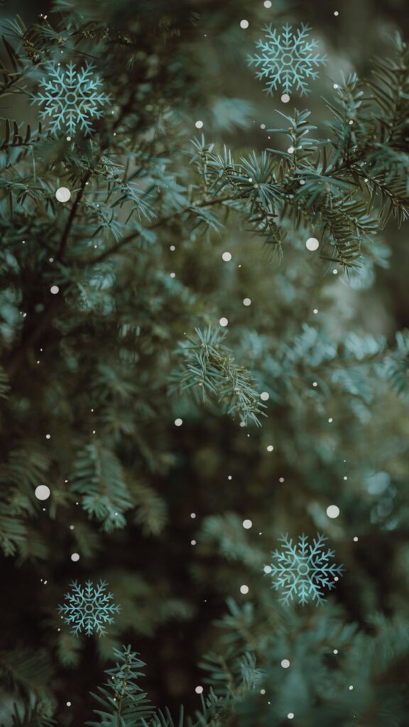 winter wallpapers for phone.